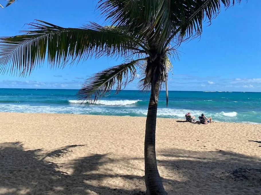 Condado Beach Organic Jewel King Size サンジョアン